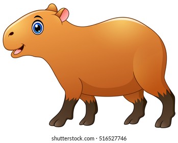 Vector illustration of Cute capybara cartoon