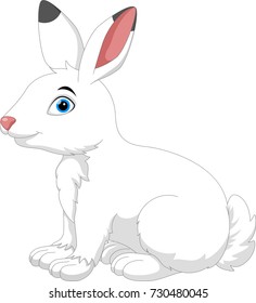 Vector Illustration of cute cartoon Arctic hare isolated on white background