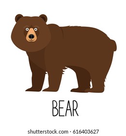 Vector illustration of cute cartoon bear isolated 