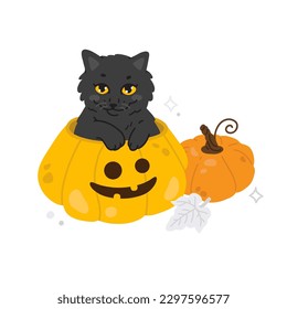 Vector illustration of cute cartoon black cat sits in a halloween pumpkin for digital stamp,greeting card,sticker,icon,Halloween design