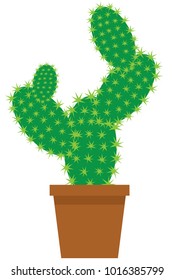 vector illustration of a cute cartoon cactus in pot isolated on white background
