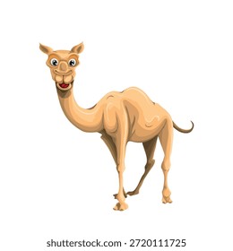 Ilustração vetorial de um camelo de desenho animado bonito, em um fundo branco