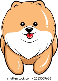 Vector illustration of Cute cartoon character Pomeranian dog puppy, isolated on white background.