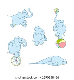 Vector illustration of cute cartoon elephant set. Cheerful elephant-juggler with ball and elephant-clown on unicycle