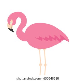 Vector illustration of cute cartoon flamingo on white background. Can be used for sticker, poster, card, bag, t-shirt design, birthday cards and summer party invitations