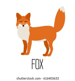 Vector illustration of cute cartoon fox isolated 