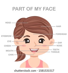 Vector illustration of Cute Cartoon Girl. Vocabulary and Education of face parts. Education for Children. Vector illustration 