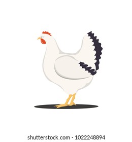 Vector Illustration of cute cartoon hen isolated on white background.