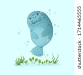 Vector illustration cute cartoon manatee swimming underwater with seagrass.