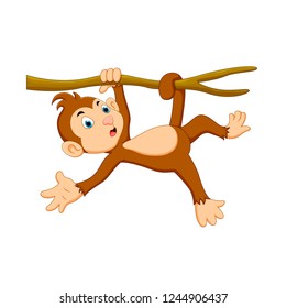 vector illustration of a cute cartoon monkey