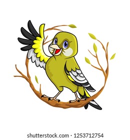 Vector illustration of cute cartoon oriental greenfinch sitting on the branch