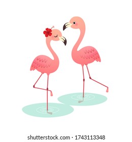 Vector illustration of cute cartoon pink flamingo couple standing on water.