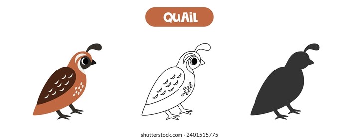 Vector illustration of cute cartoon quail bird. Coloring page. Vector silhouette.