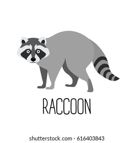 Vector illustration of cute cartoon raccoon isolated