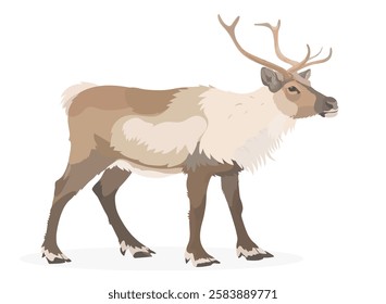 Ilustração vetorial do desenho animado bonito Reindeer, isolado no branco. Animal selvagem da floresta.