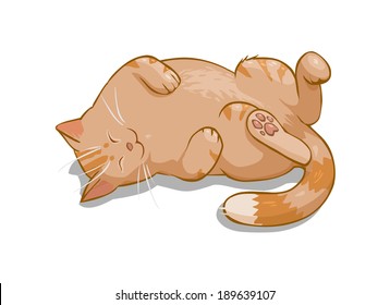 Vector illustration of cute cartoon sleeping cat