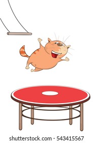 Vector Illustration of a Cute Cat Acrobat . Cartoon Character