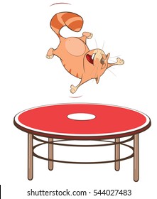 Vector Illustration of a Cute Cat Acrobat. Cartoon Character