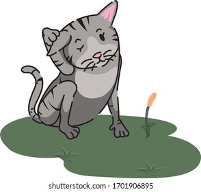 Vector Illustration Cute Cat, cute animal 