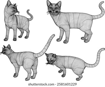 vector illustration of cute cat animal design without fur 
