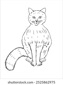 Ilustração vetorial de gato bonito, preto e branco desenho arte personagem, isolado no fundo branco