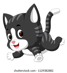 vector illustration of cute cat cartoon