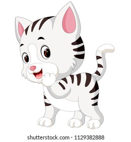 vector illustration of cute cat cartoon
