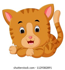 vector illustration of cute cat cartoon