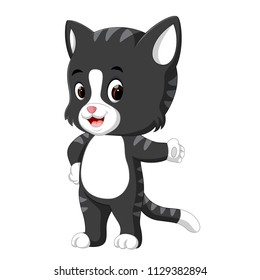 vector illustration of cute cat cartoon