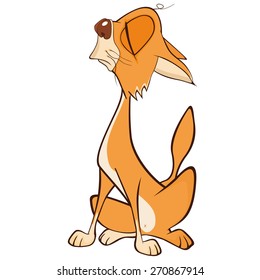 vector illustration of a cute cat cartoon