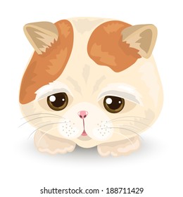 Vector Illustration of Cute Cat Face : Tabby cat on the white background