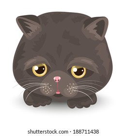 Vector Illustration of Cute Cat Face : Black cat on the white background