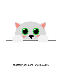 vector illustration of cute cat head with cute eyes, cat head character, simple vector illustration
