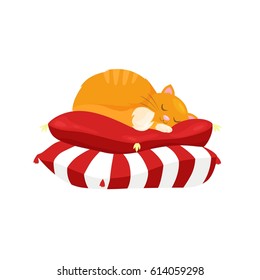 36,311 Cat on pillow Images, Stock Photos & Vectors | Shutterstock