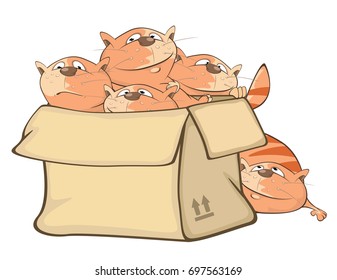 Vector Illustration of  Cute Cats and a Box. Cartoon Character