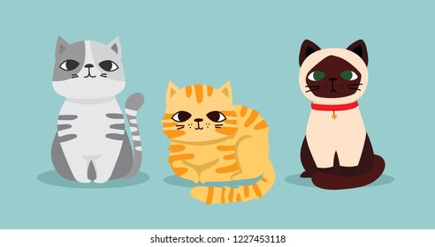 Vector illustration of cute cats in the flat style  for greeting card design, t-shirt print, inspiration poster.