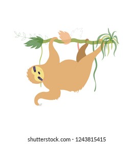 Vector illustration of cute character sloth. Isolated cartoon baby climbing sloths. Hand drawn jungle animal hanging on a branch of tree. Drawing for print, fabric, textile, poster etc. 