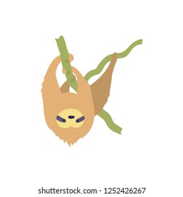 Vector illustration of cute character sloth. Isolated cartoon baby climbing sloths. Hand drawn jungle animal hanging on a branch of tree. Drawing for print, fabric, textile, poster etc. 