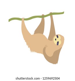 Vector illustration of cute character sloth. Isolated cartoon baby climbing sloths. Hand drawn jungle animal hanging on a branch of tree. Drawing for print, fabric, textile, poster etc. 