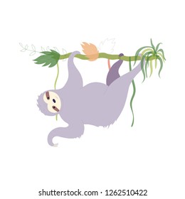 Vector illustration of cute character sloth. Isolated cartoon baby climbing sloths. Hand drawn jungle animal hanging on a branch of tree. Drawing for print, fabric, textile, poster etc. 