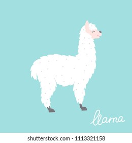 Vector illustration of cute character south llama. Isolated outline cartoon baby lama. Hand drawn Peru animal guanaco, alpaca, vicuna. Drawing for print, fabric, textile, poster etc. 