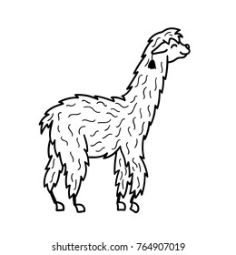 Vector illustration of cute character south America lama. Isolated outline cartoon baby llama. Hand drawn Peru animal guanaco, alpaca, vicuna. Drawing for print, fabric, textile, poster etc