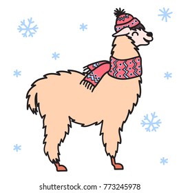 Vector illustration of cute character south lama in winter hat and scarf. Isolated outline cartoon baby llama. Hand drawn Christmas Peru animalguanaco, alpaca, vicuna. Drawing for print.