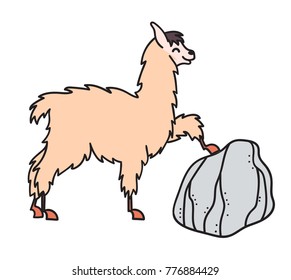 Vector illustration of cute character south lama. Isolated cartoon baby llama and stone. Hand drawn Peru animal guanaco, alpaca, vicuna. Drawing for print, fabric, textile, poster etc