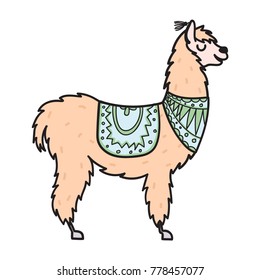 Vector illustration of cute character south lama with decorations. Isolated outline cartoon baby llama. Hand drawn Peru animal guanaco, alpaca, vicuna. Drawing for print, fabric 