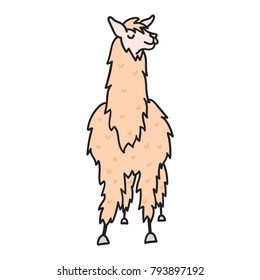 Vector illustration of cute character south lama. Isolated outline cartoon baby llama. Hand drawn Peru animal guanaco, alpaca, vicuna. Drawing for print, fabric, textile, poster etc