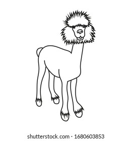 Vector illustration of cute character stand alpaca. Isolated outline cartoon illustration.