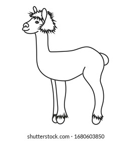 Vector illustration of cute character stood sideways alpaca. Isolated outline cartoon illustration.