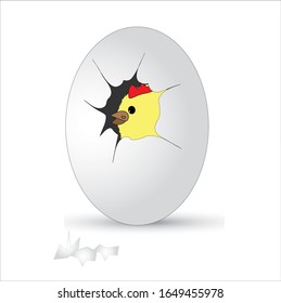Vector illustration of a cute chicken in an easter egg shell