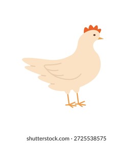 Ilustração vetorial de um frango bonito de pé no perfil. A imagem representa agricultura, agricultura, avicultura, vida rural, alimentação orgânica e campo.